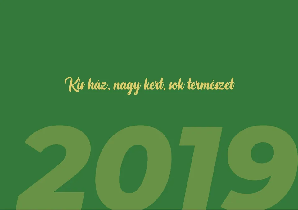 A „Falra festett álmok" album 74. oldala